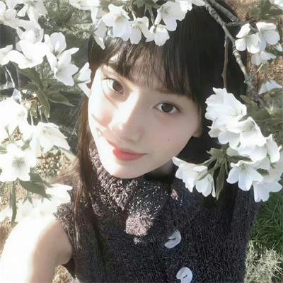 李米的猜想
